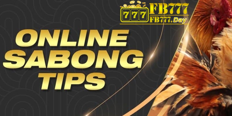 Unveiling Professional Insights for Online Sabong at FB777 5 {11}