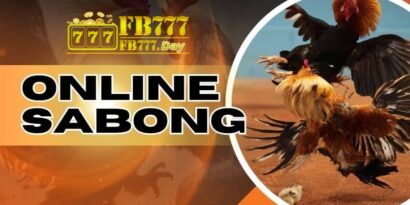 Insider Insights for Mastering Online Sabong at FB777 5 What is Online Sabong?